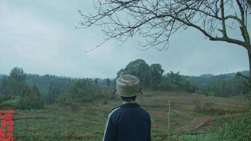 探索登录Facebook时存储被拒绝的原因