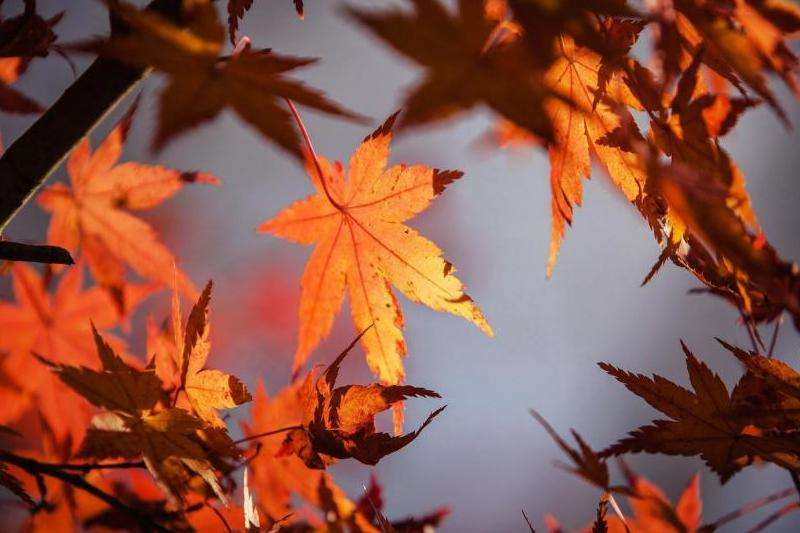 学习如何有效使用Facebook广告